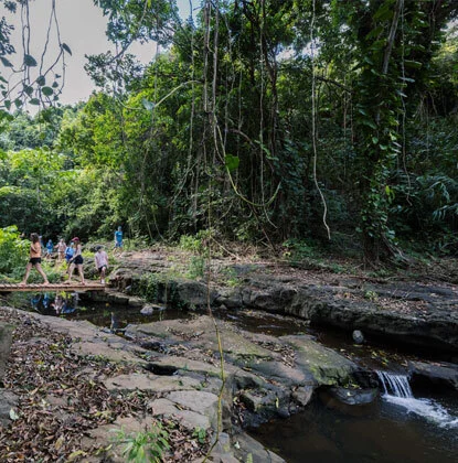 Jungle stream crossing at Kīpū Ranch, a Tropic Thunder filming location on Kauaʻi
