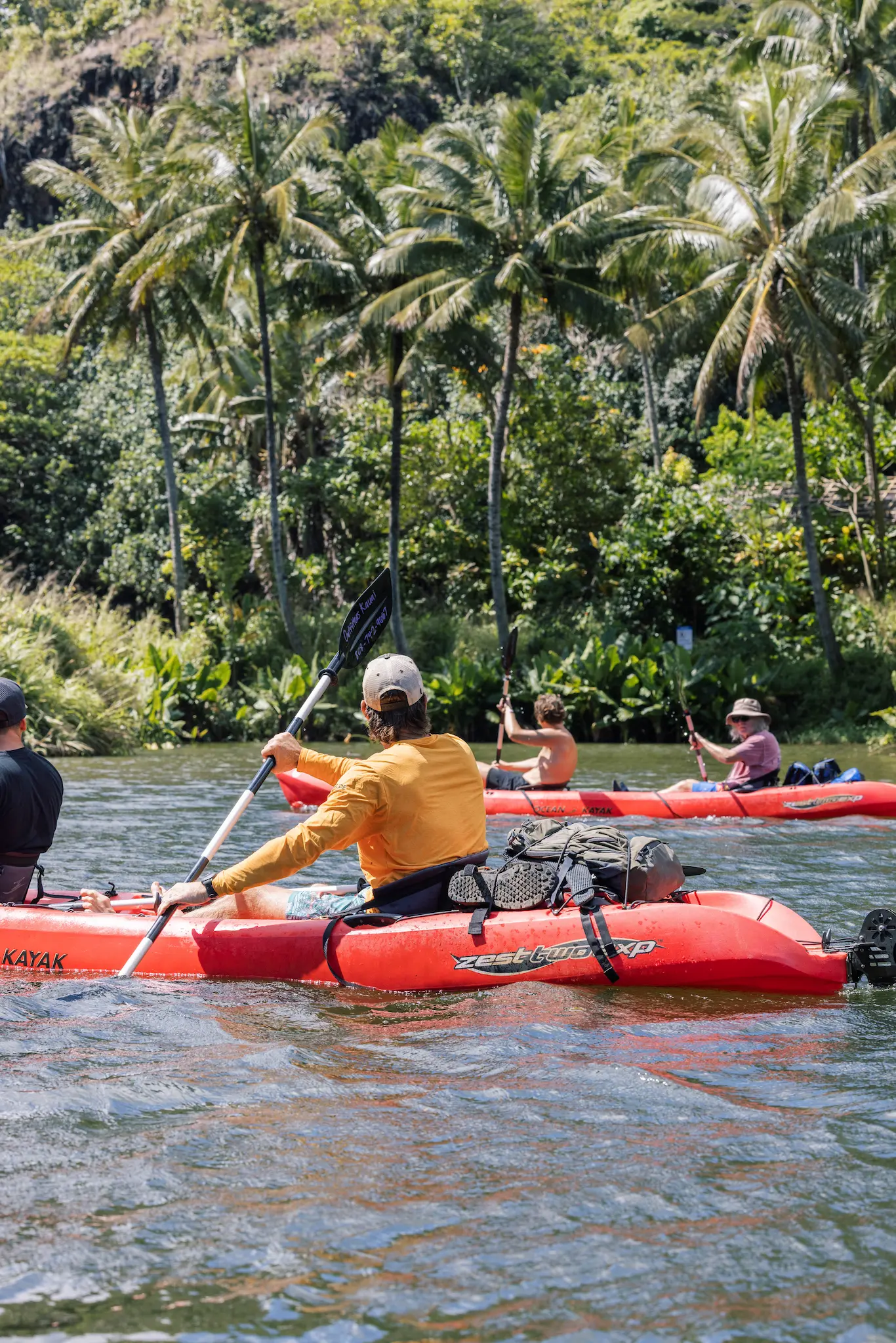 Kayakers on the Wailua River beneath tall palm trees on Kauaʻi
