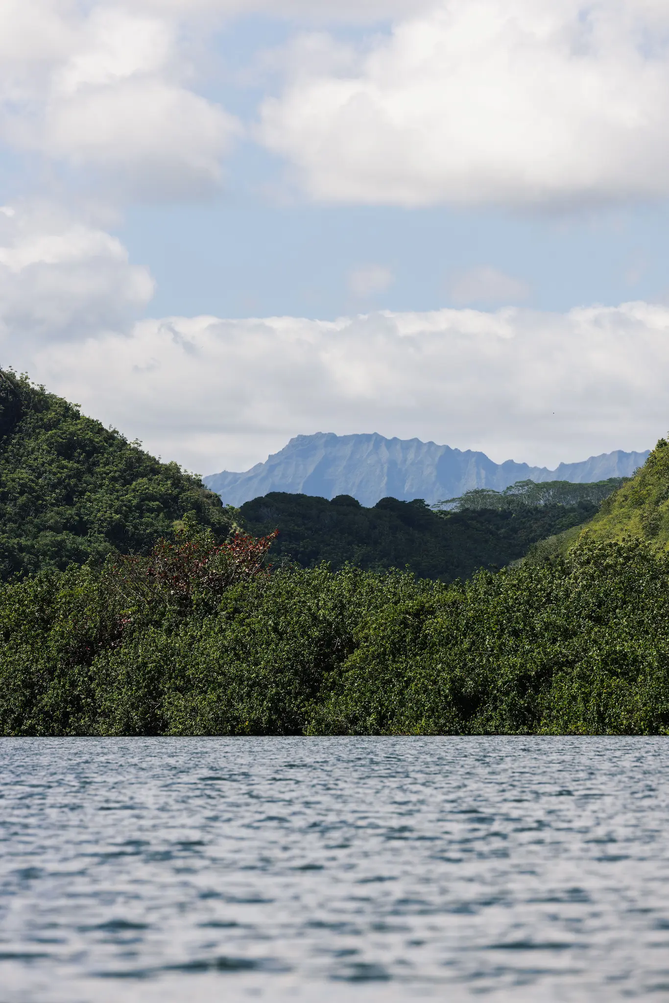 Looking down the Wailua River toward forested hills and a distant mountain
