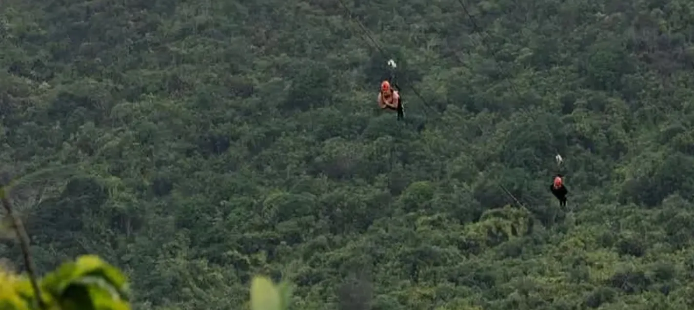 Two zipliners crossing a forested valley on parallel lines at Kīpū Ranch