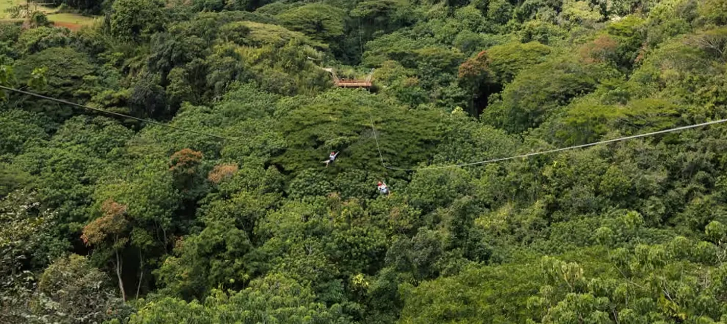 Zipline cable crossing the forest canopy toward a distant platform at Kīpū Ranch