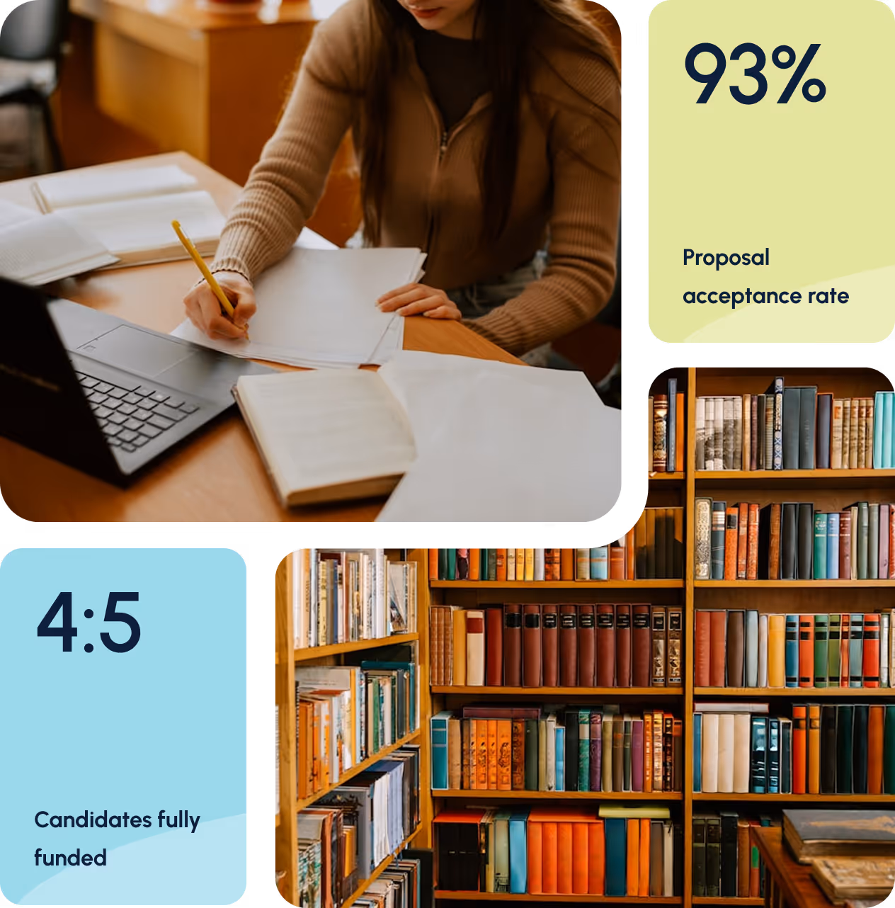 Student studying on library