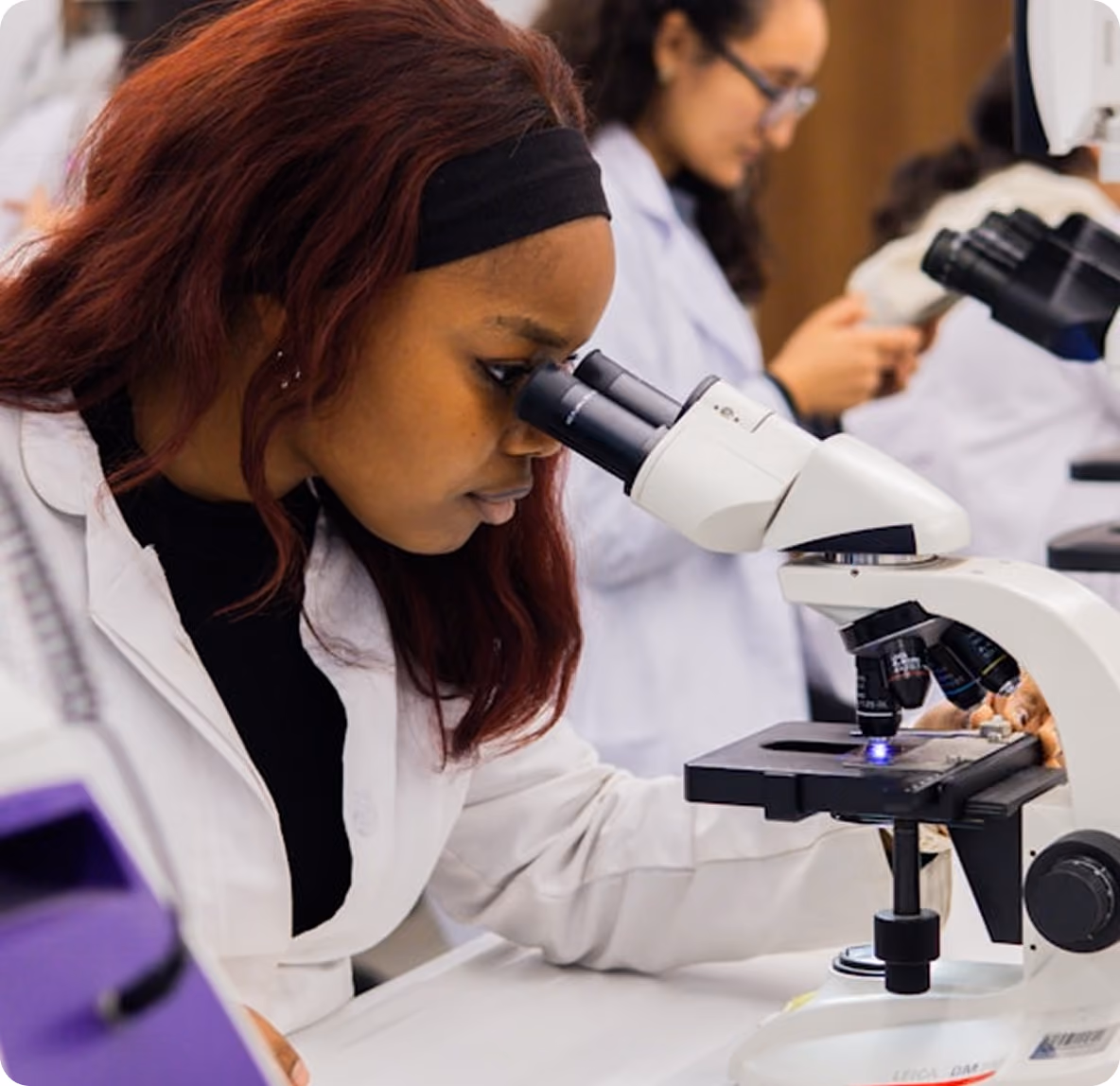 few students are researching on lab