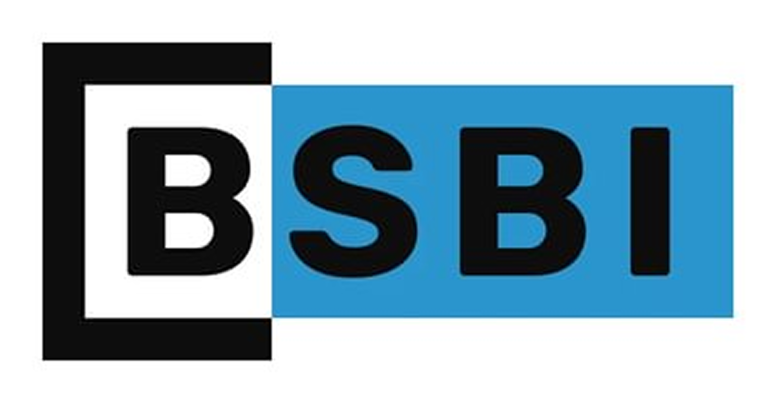 Berlin School of Business and Innovation (BSBI)