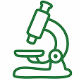 primary programme icon