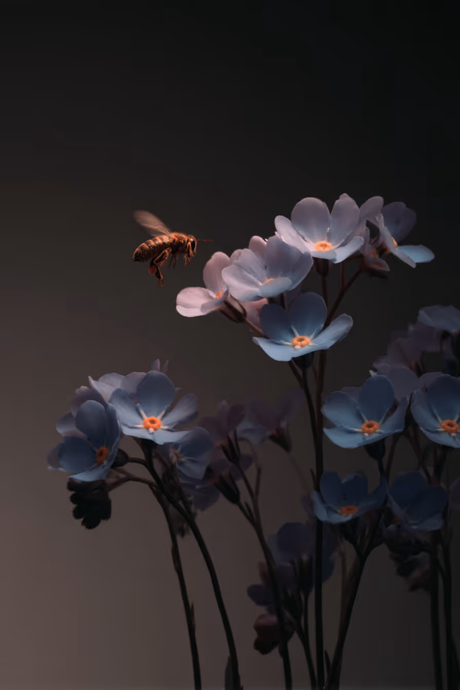 The Bee