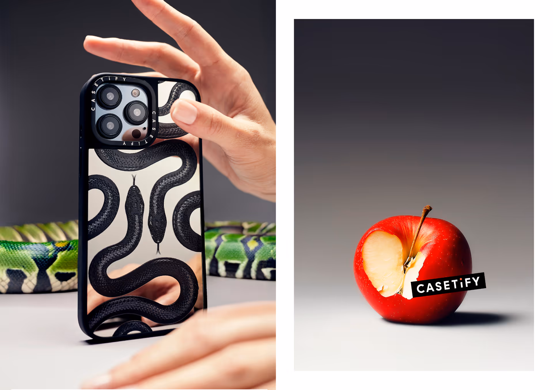 Nature Morte