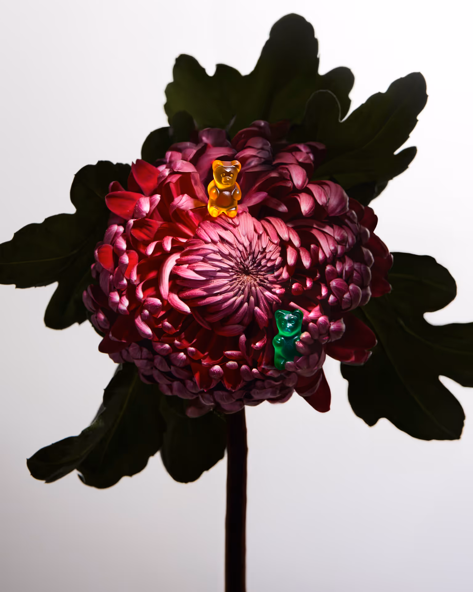 Fleur