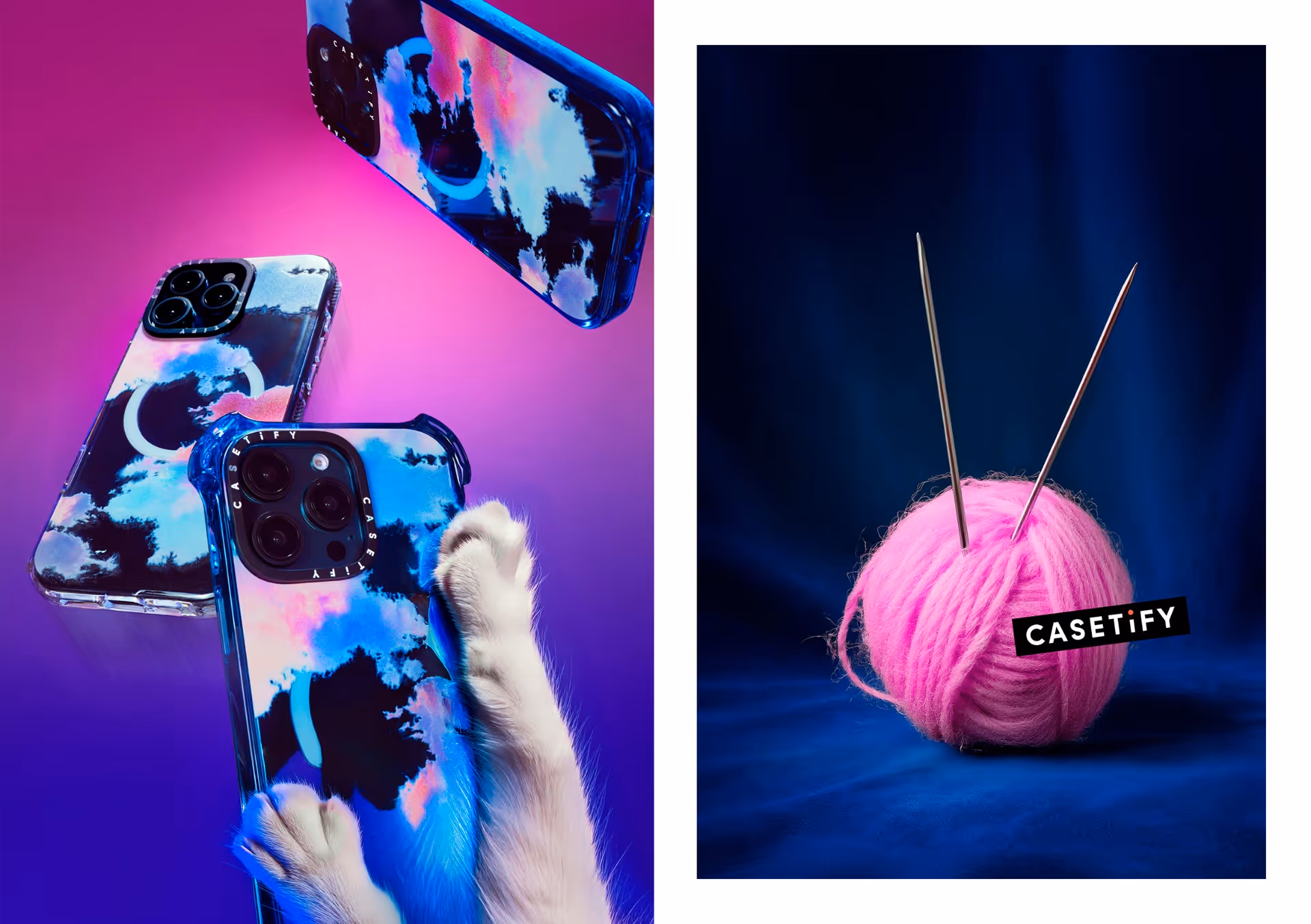 Casetify Cat