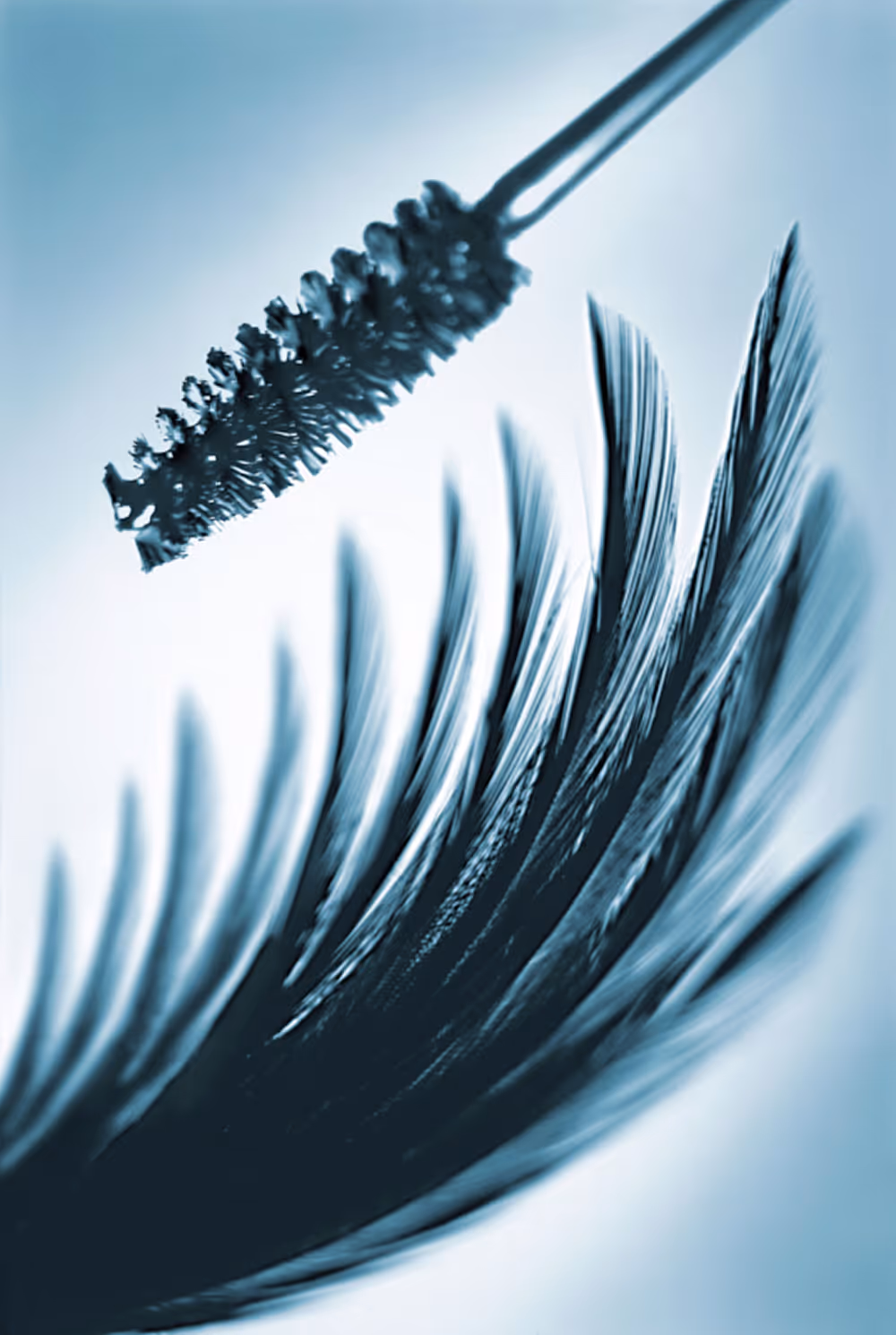 Feather