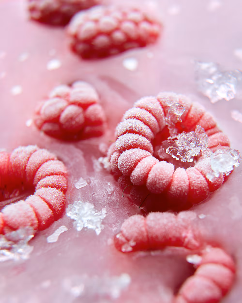 Frosty Raspberry