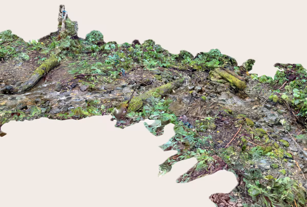 3D scan of a creek landscape