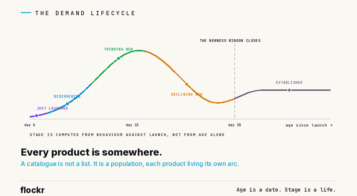 A product's early life drawn as one arc in five coloured segments: Just launched at the flat start, Discovering as interest builds, Trending new through the rise to the peak, Declining new down the far side, and Established levelling into a steady plateau
