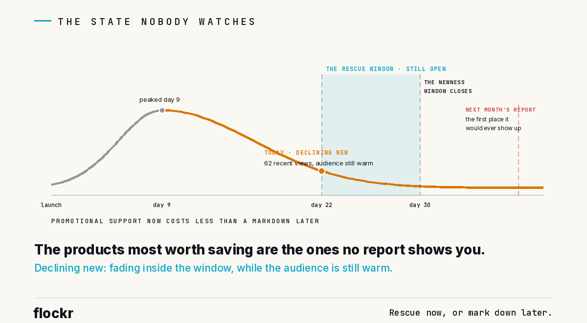 A live Flockr insight card: 28 launches losing momentum inside their window, lifecycle state joined to live momentum in real time, 61 recent views across the set with the audience still warm. Three example products with their day, decline from peak and recent views, and 25 more. A recommended action routed to Merchandising and Discovery: give these 28 promotional or discovery placement before the window closes; support now costs less than a markdown later. Footer: Flockr recommends. You decide.