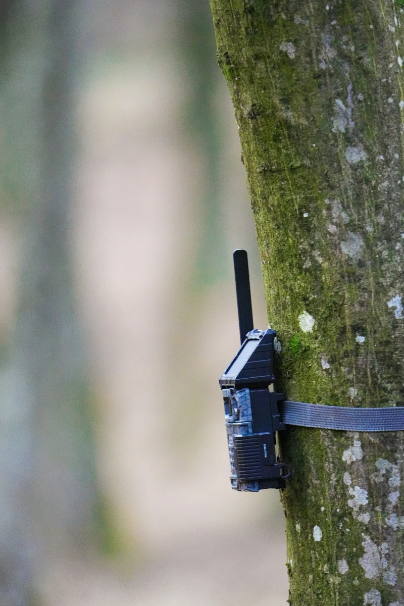a trail camera