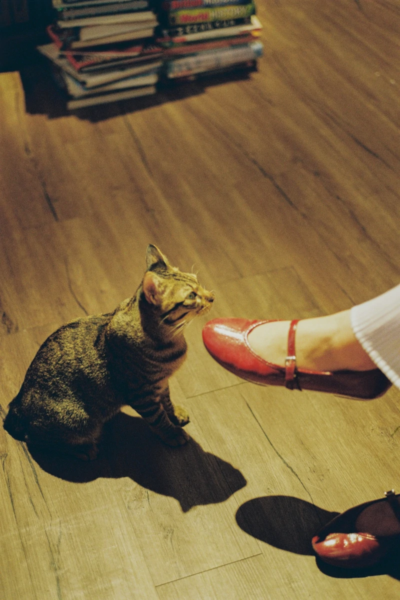 women in red shoes with a cat