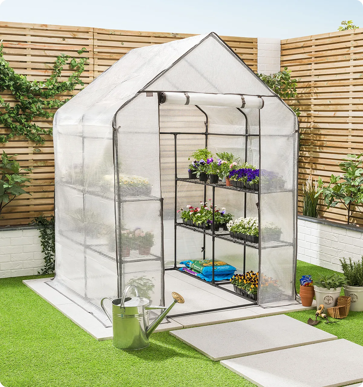 Small garden greenhouse with plants on shelves, a watering can, and gardening tools outside on grass.