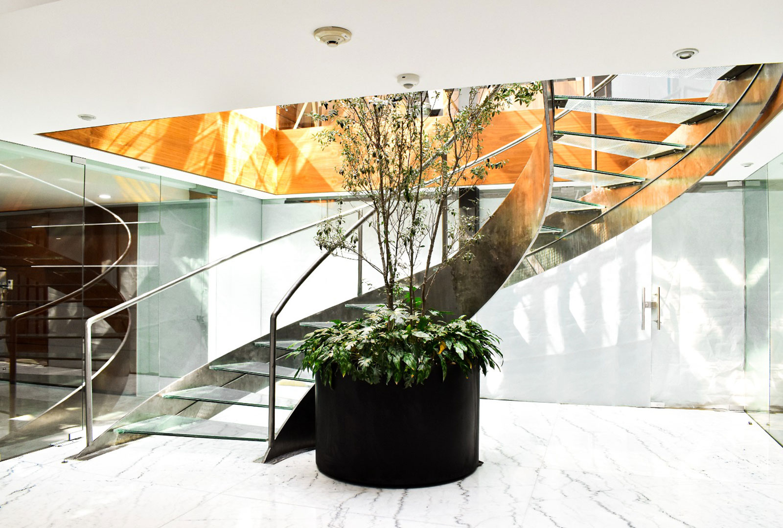 Modern spiral staircase with glass steps and metal railing around a large planter with plants.