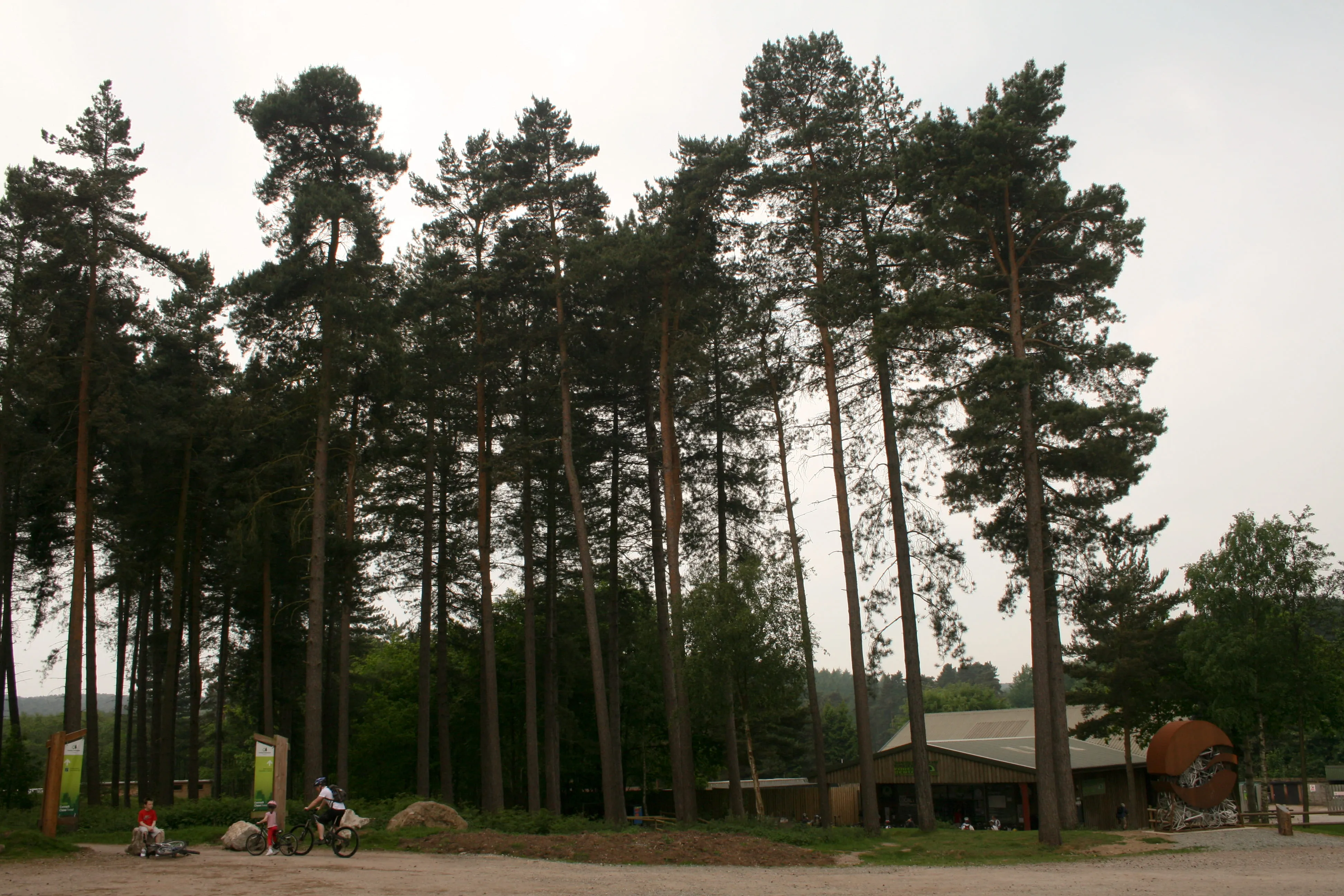 Cannock Chase