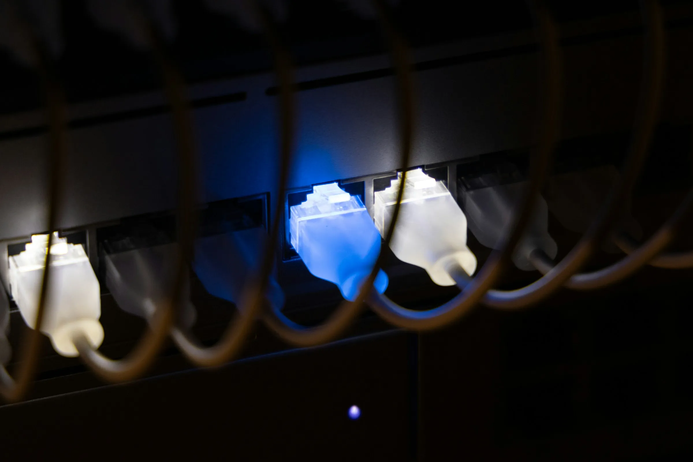 Network switch port with blue link indicator showing active gigabit connections