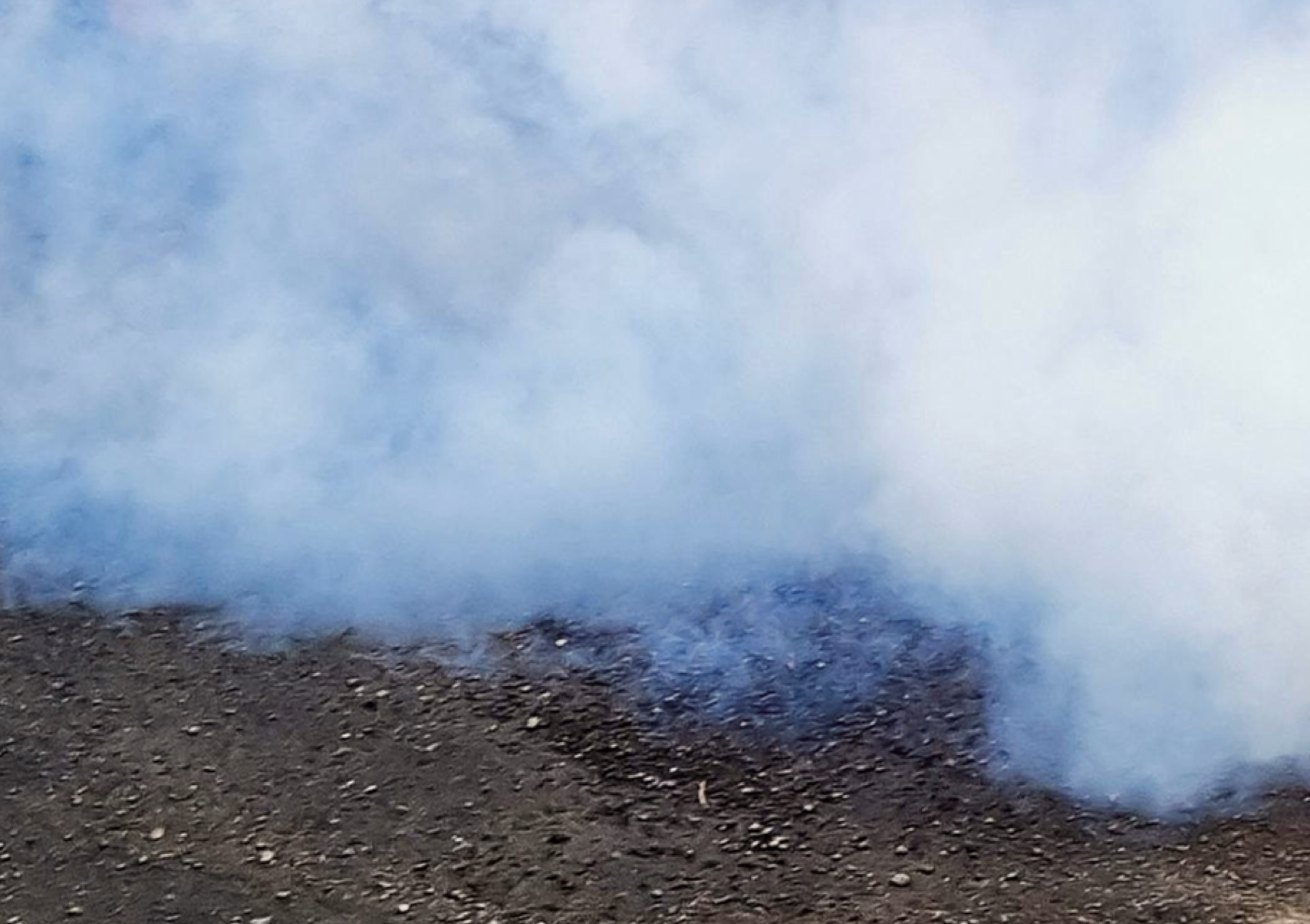 Pest control treatment with fogging