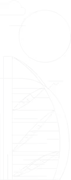 Building Shape