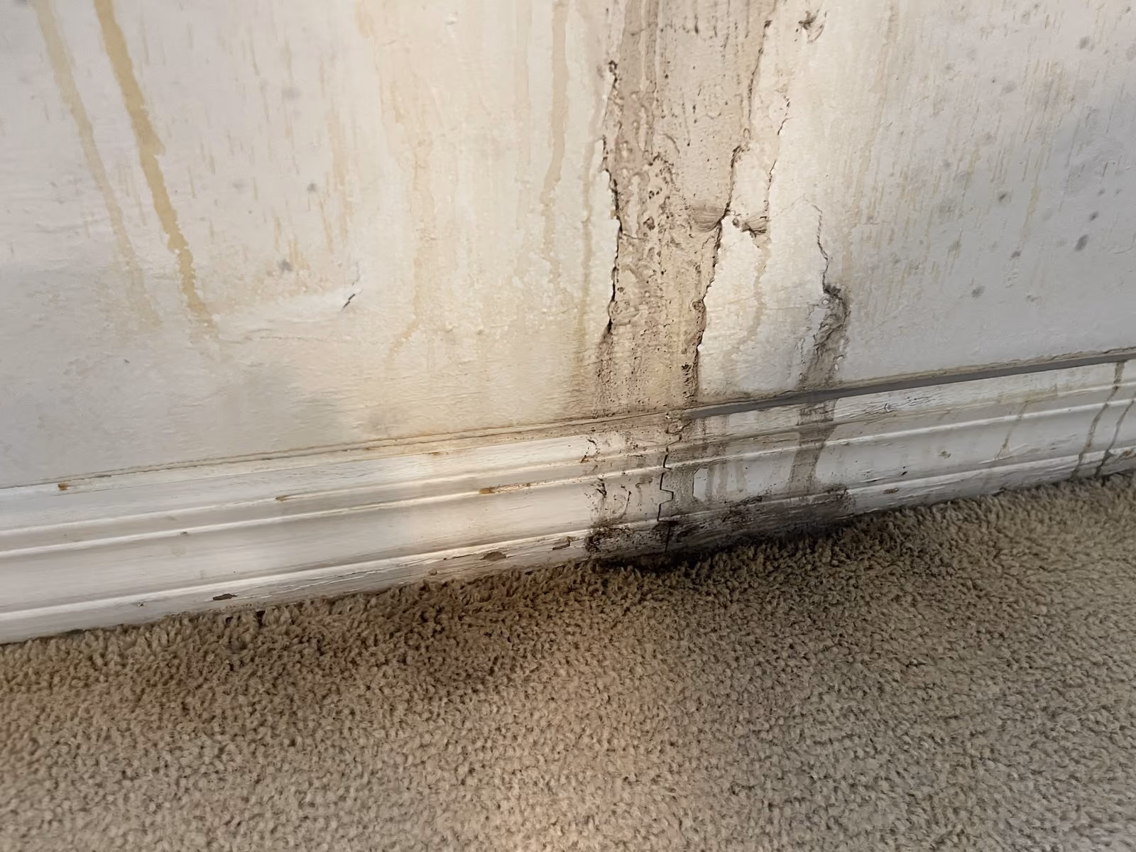 Condo Water Damage Restoration & Remodel