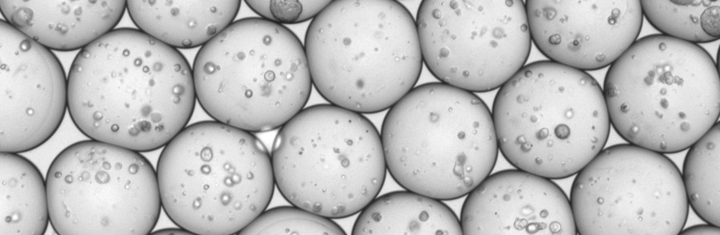 Uniform MOS microdroplets at ~240 µm diameter