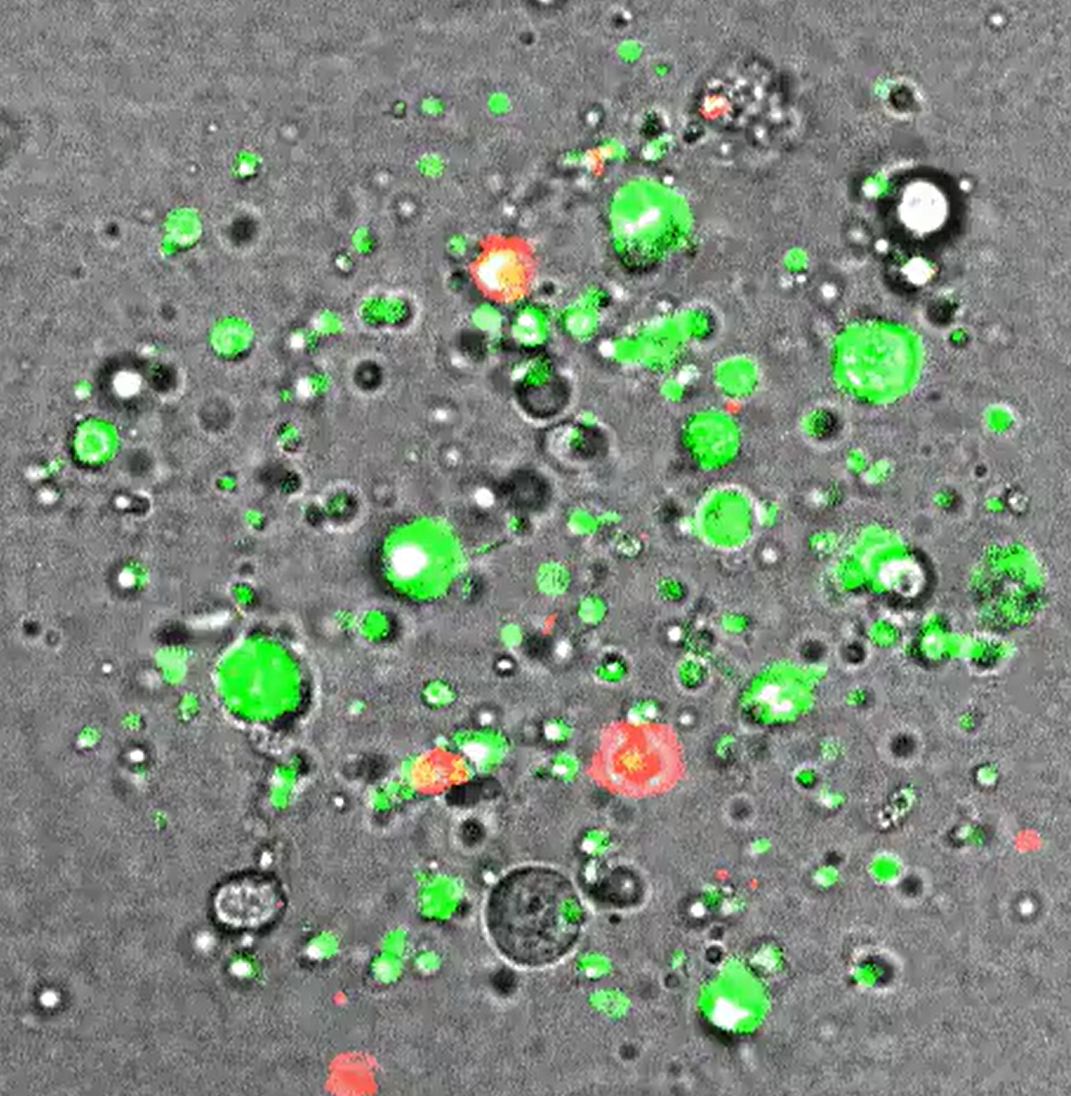 Wide field of MOS context view