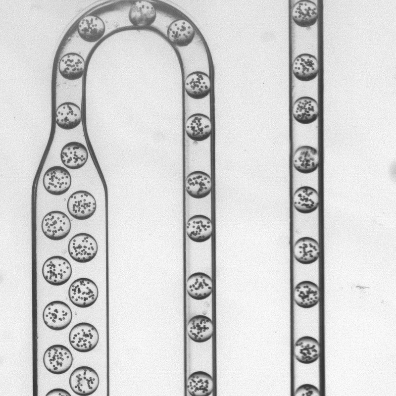 MOS droplets in the MOSgen chip