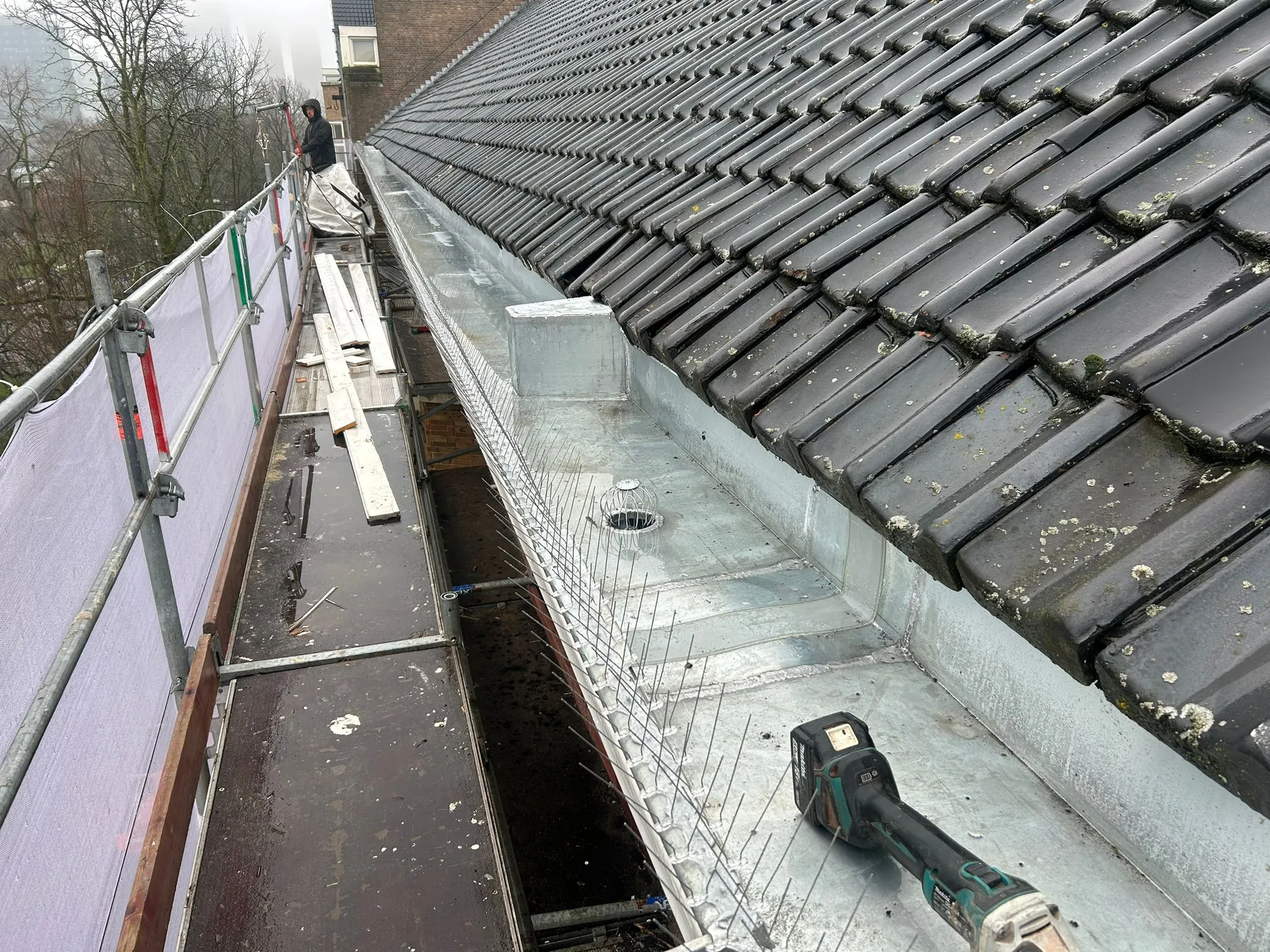 Dakrenovatie met steiger, zwarte dakpannen, metalen dakgoot met vogelwering en elektrisch gereedschap.