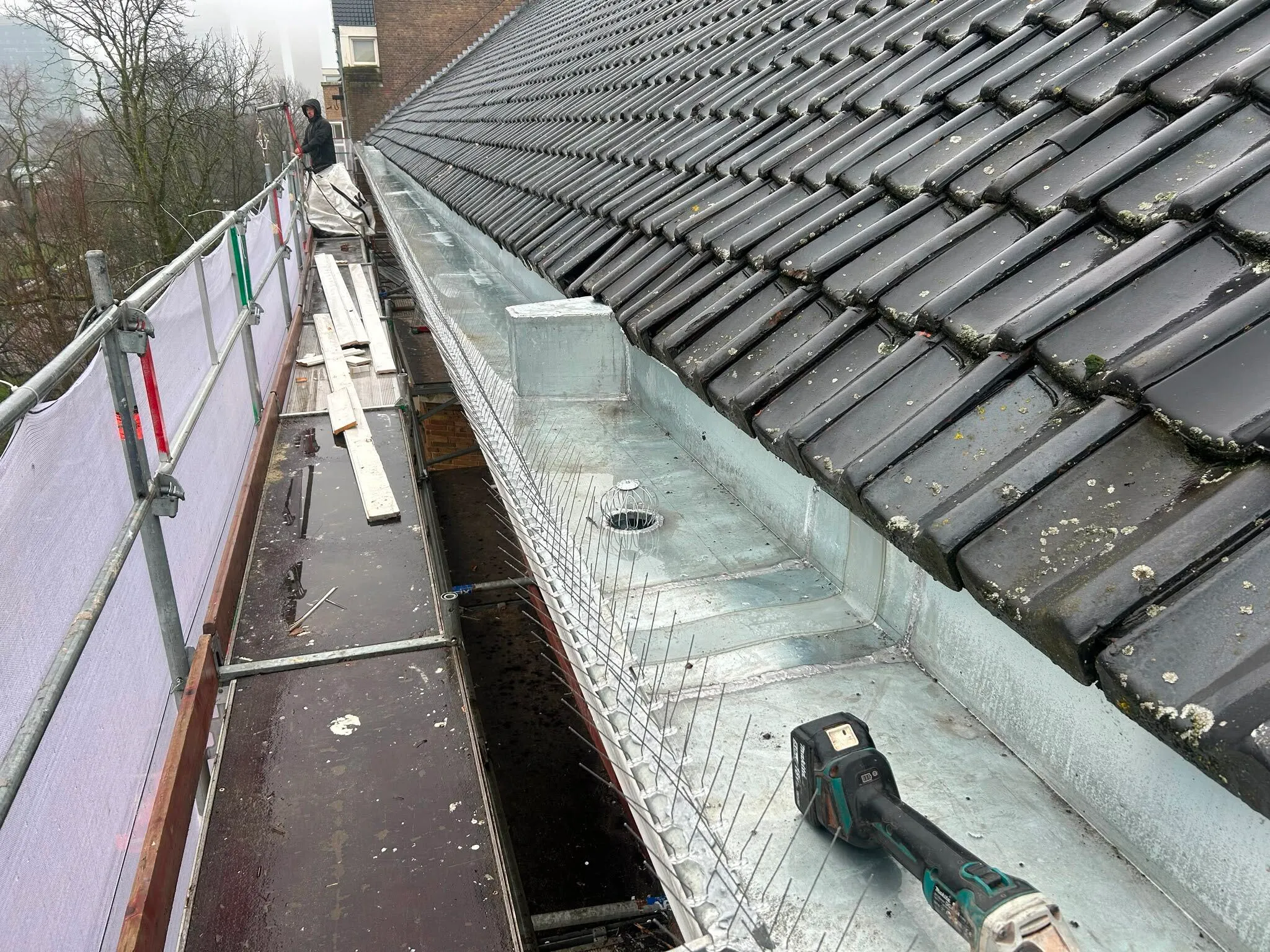 Worker on scaffolding beside a tiled roof and metal gutter with bird deterrent spikes and a power tool.