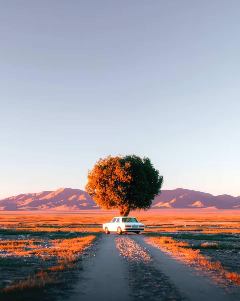 A white car parked under a large tree on a dirt road with mountains and golden sunlight in background.