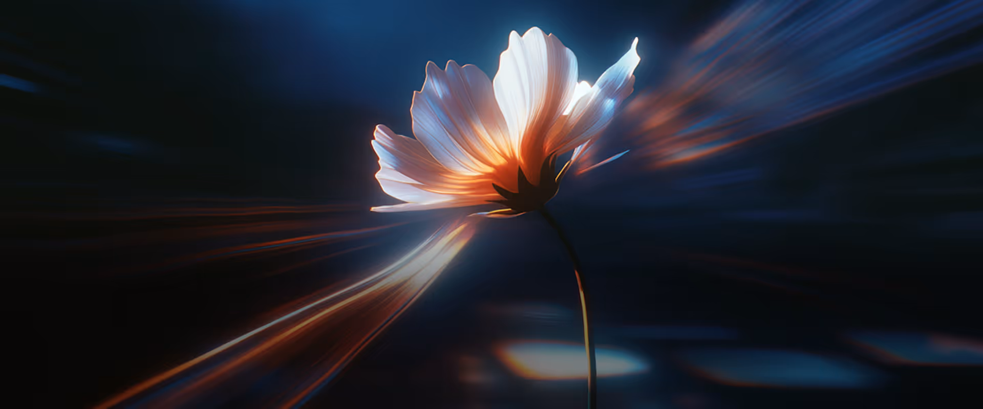 Glowing white flower with light trails on dark blue and black background.