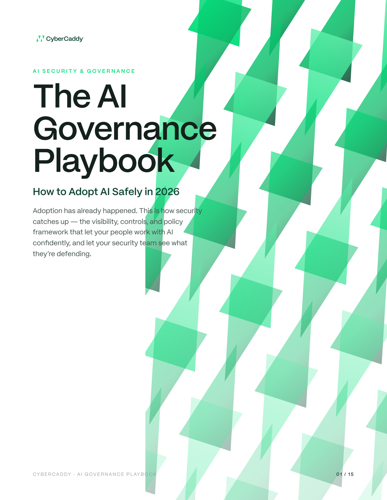 The AI Governance Playbook cover