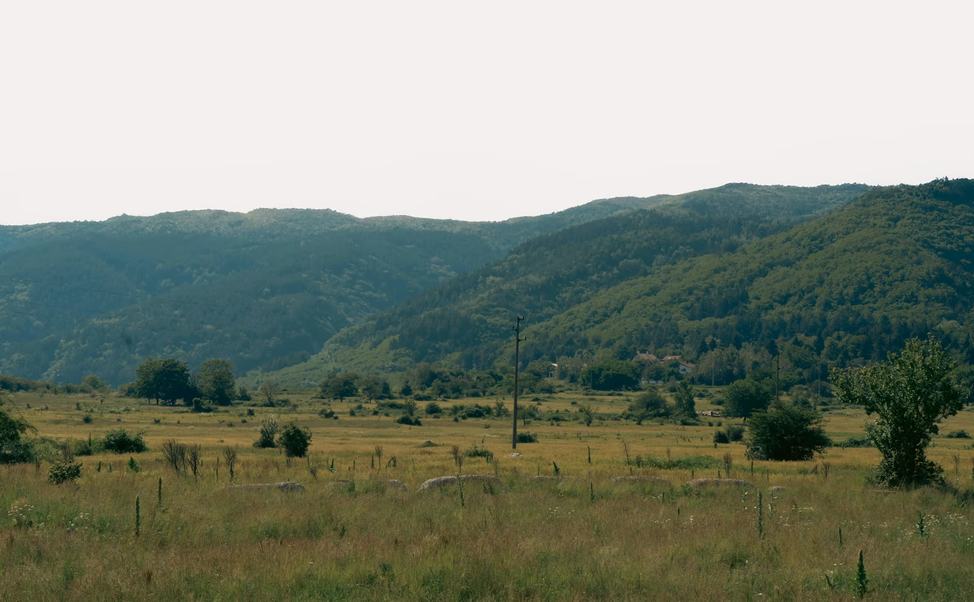 Open field with scattered trees and bushes, with green forested hills beyond.