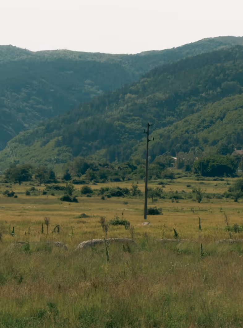 Green meadow with scattered trees and a utility pole against forested mountains under a pale sky.