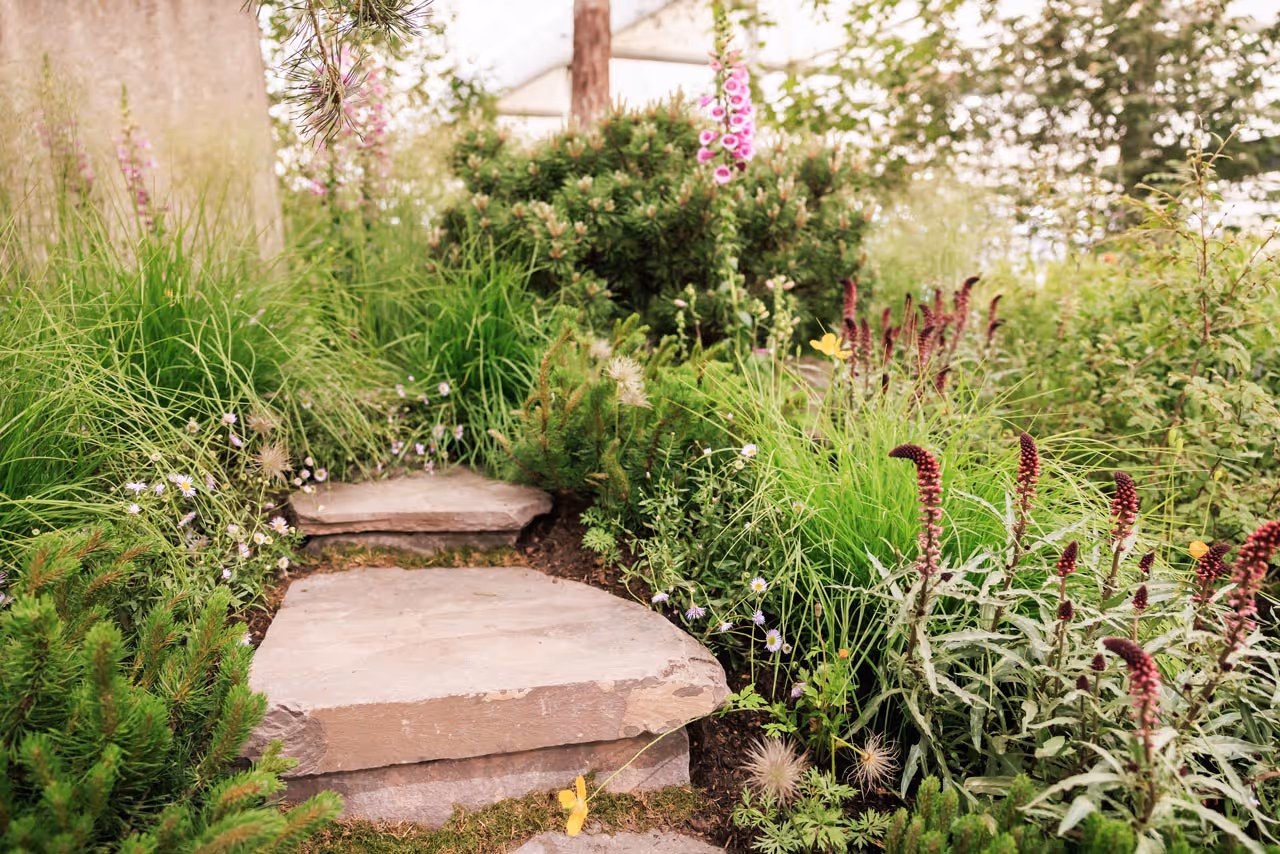 Stone slab path running through purple and orange planting in a Chelsea Flower Show garden