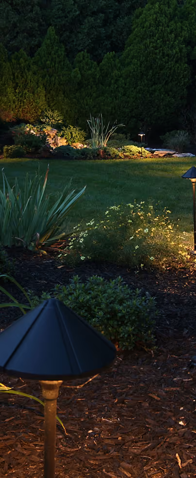 Garden lighting picking out planting beds and lawn at dusk