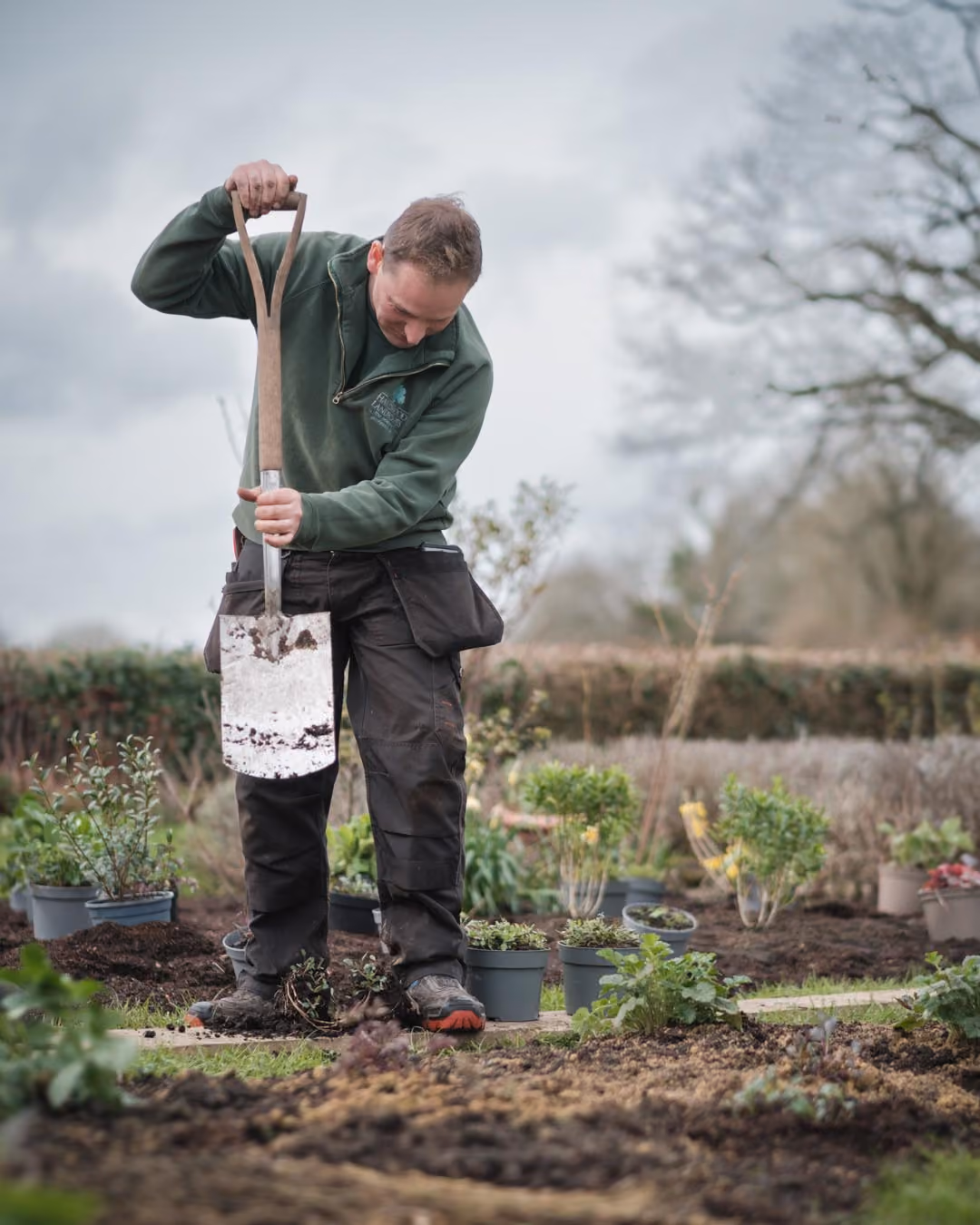 Gardener digging over a border with a spade beside potted plants ready for planting