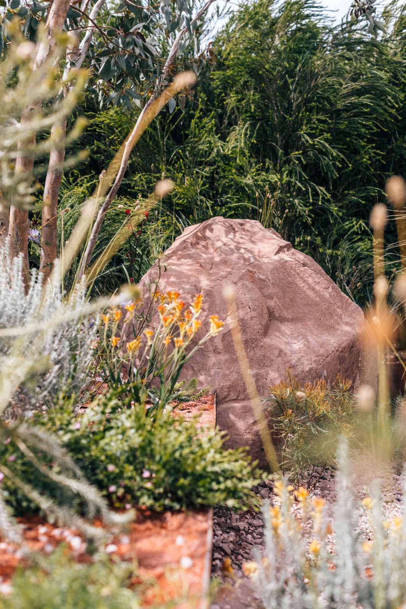 Large boulder set among shrubs and yellow flowering plants