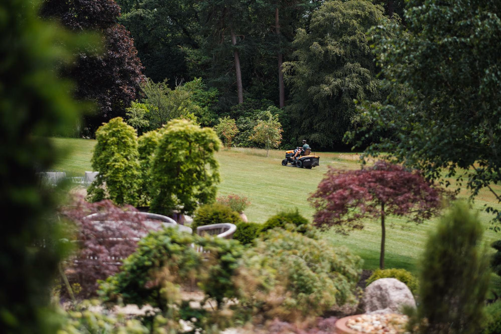 Gardener mowing a large lawn framed by mature trees and shrub borders