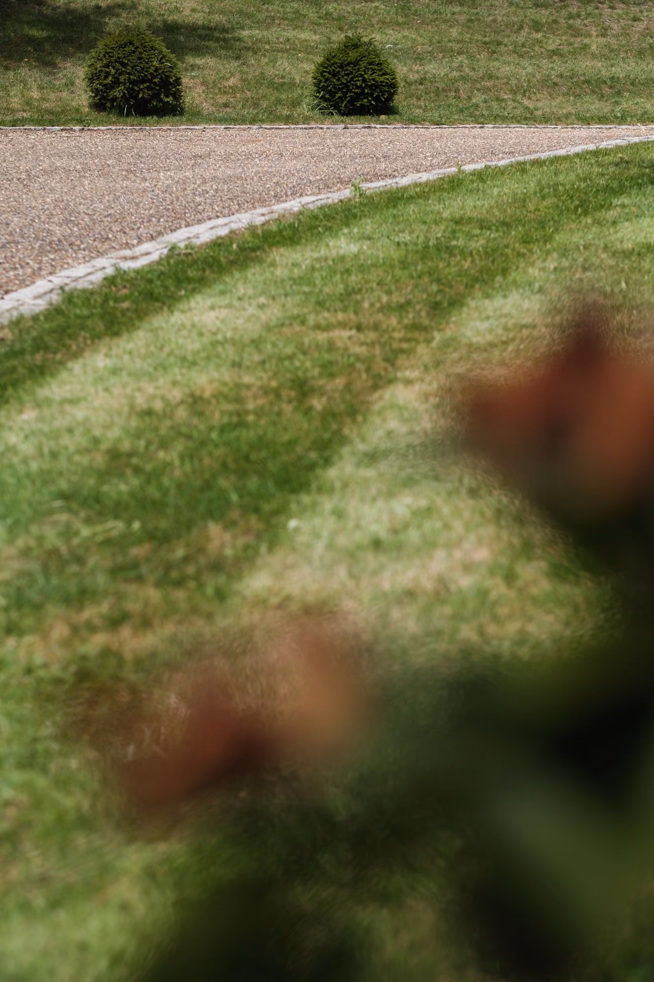 Curved gravel path crossing a lawn between two clipped shrubs