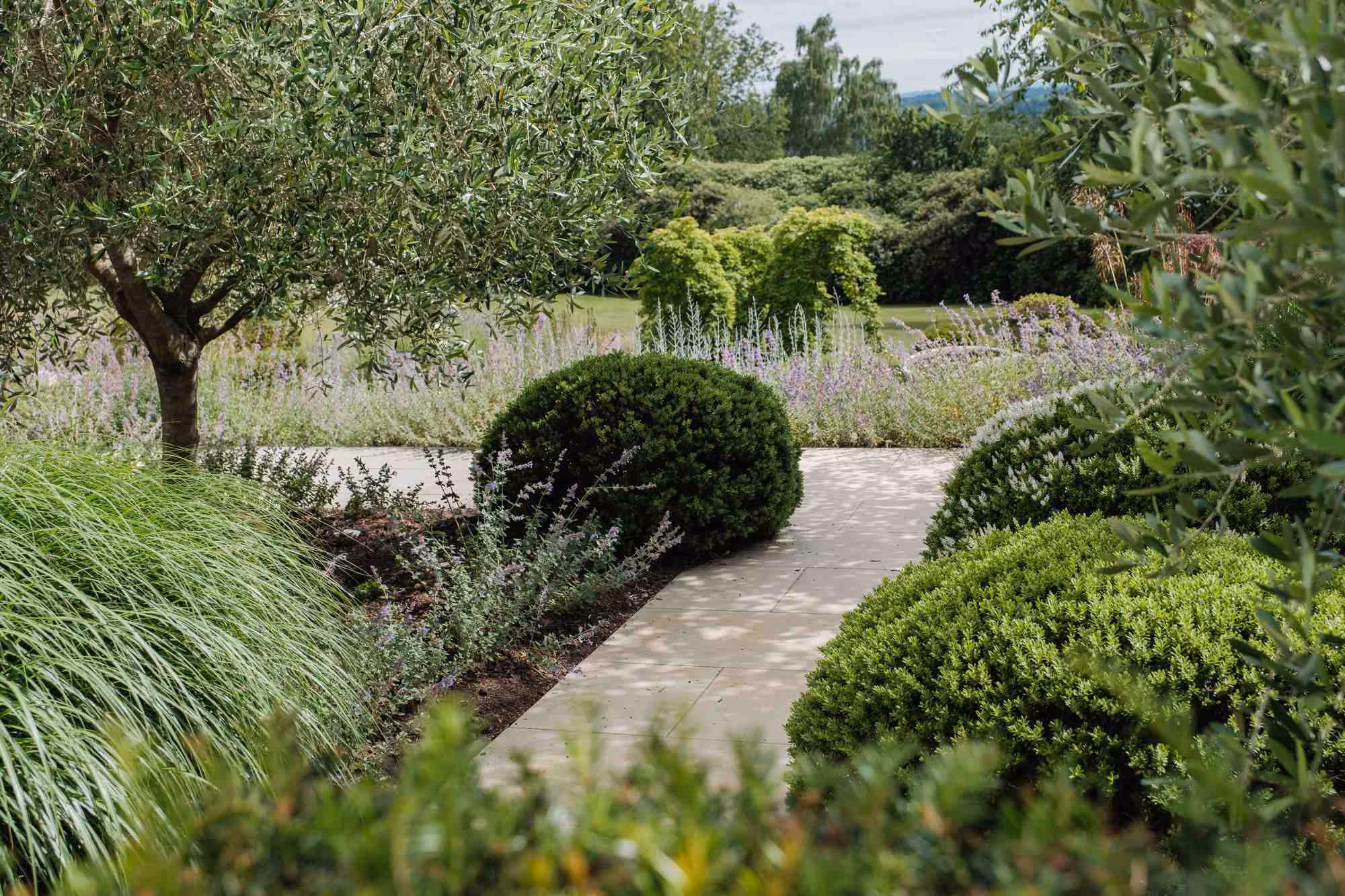 Stone path winding through mixed shrub and perennial planting