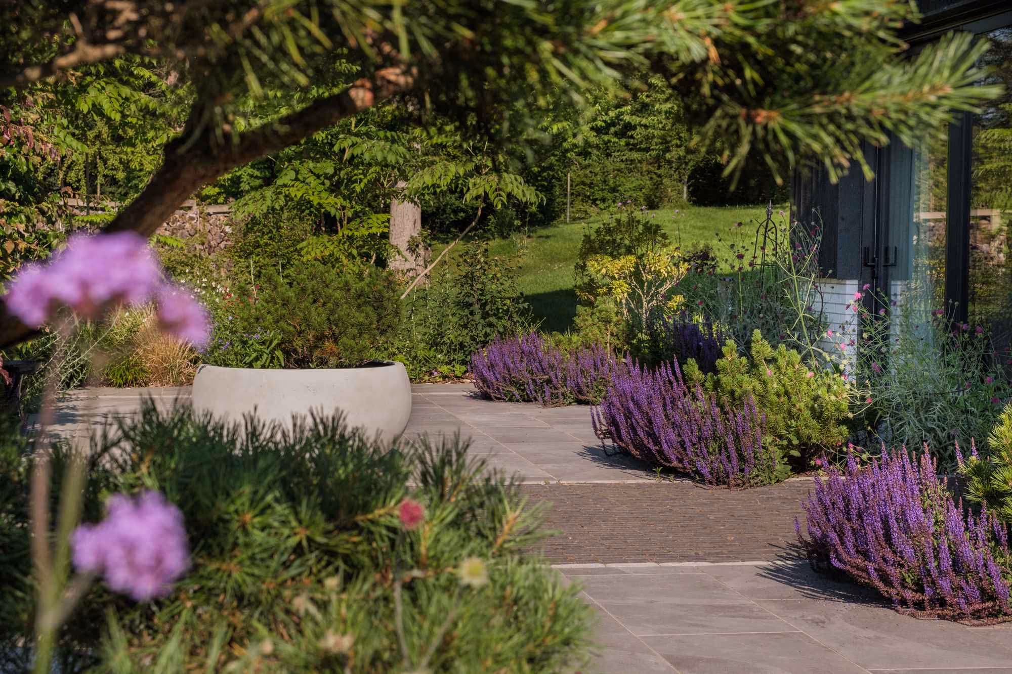 Garden path edged with purple flowering perennials leading to a house terrace