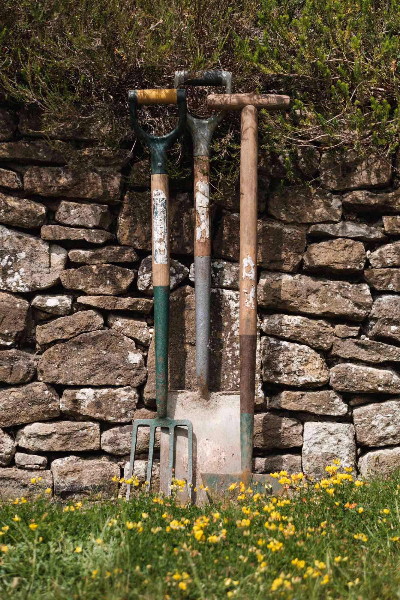Garden hand tools propped against a stone wall beside grass and yellow flowers