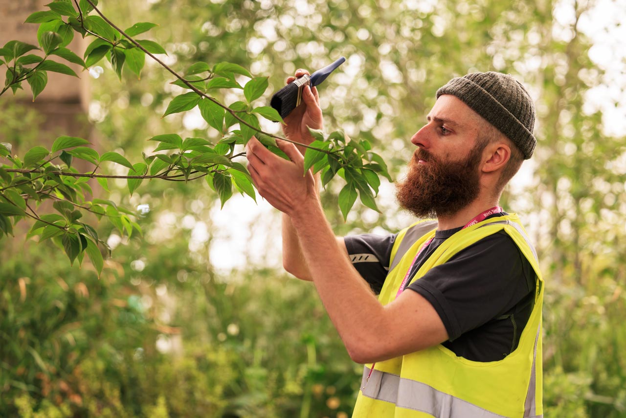 Hardwood Landscapes team member in a hi-vis vest brushing dust from leaves during a show garden build