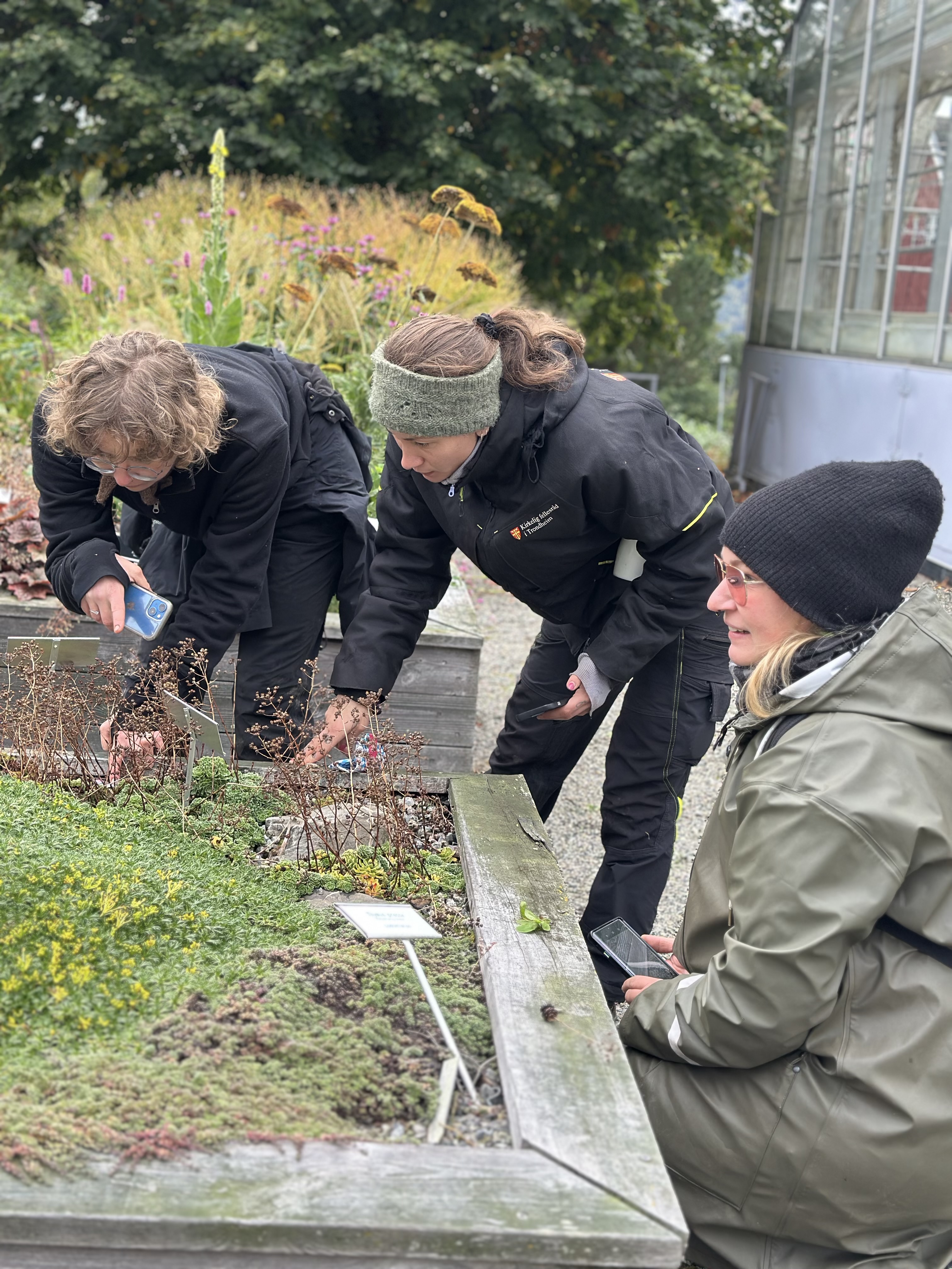 Gardeners' Association Image