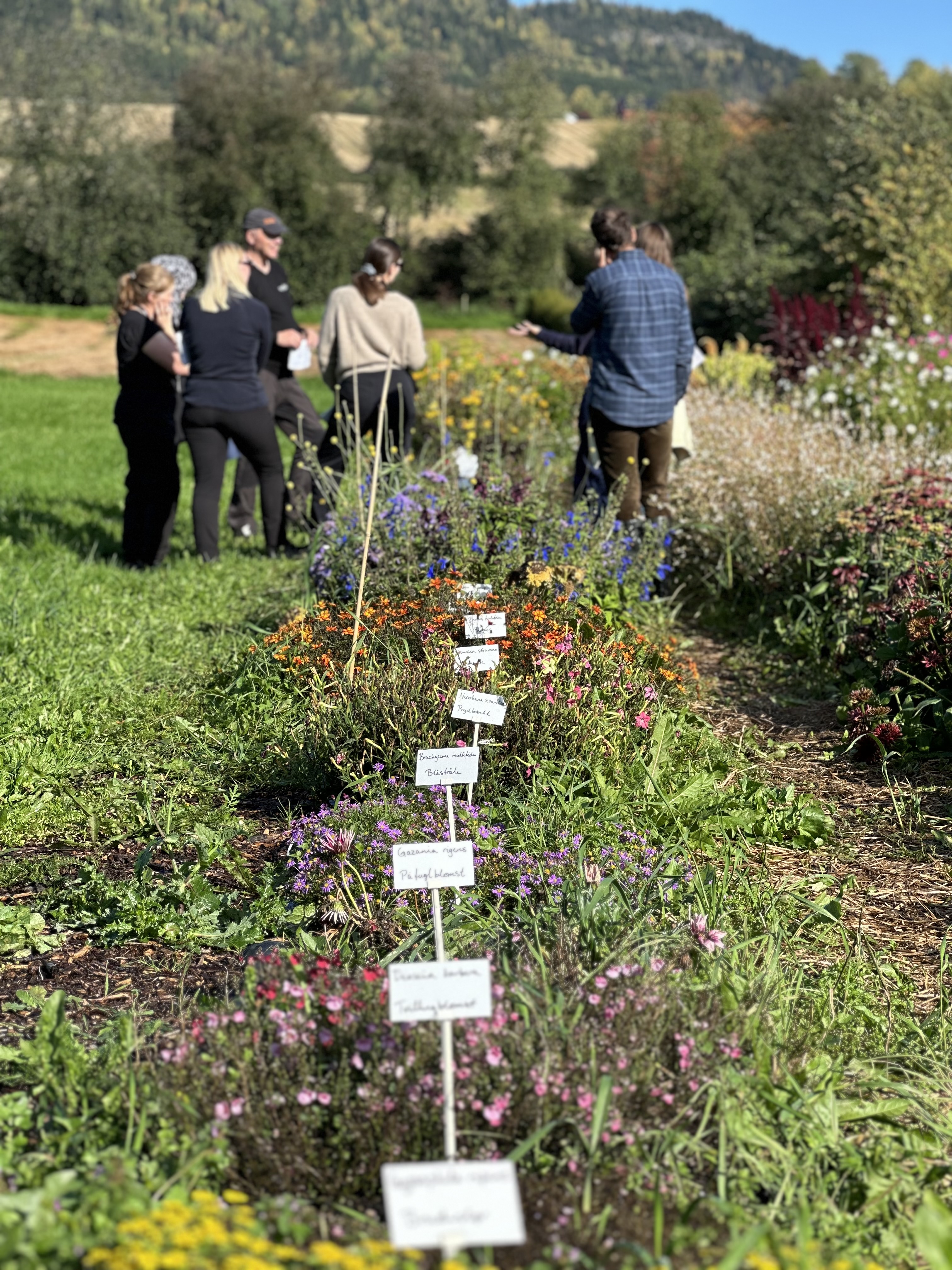 Gardeners' Association Image