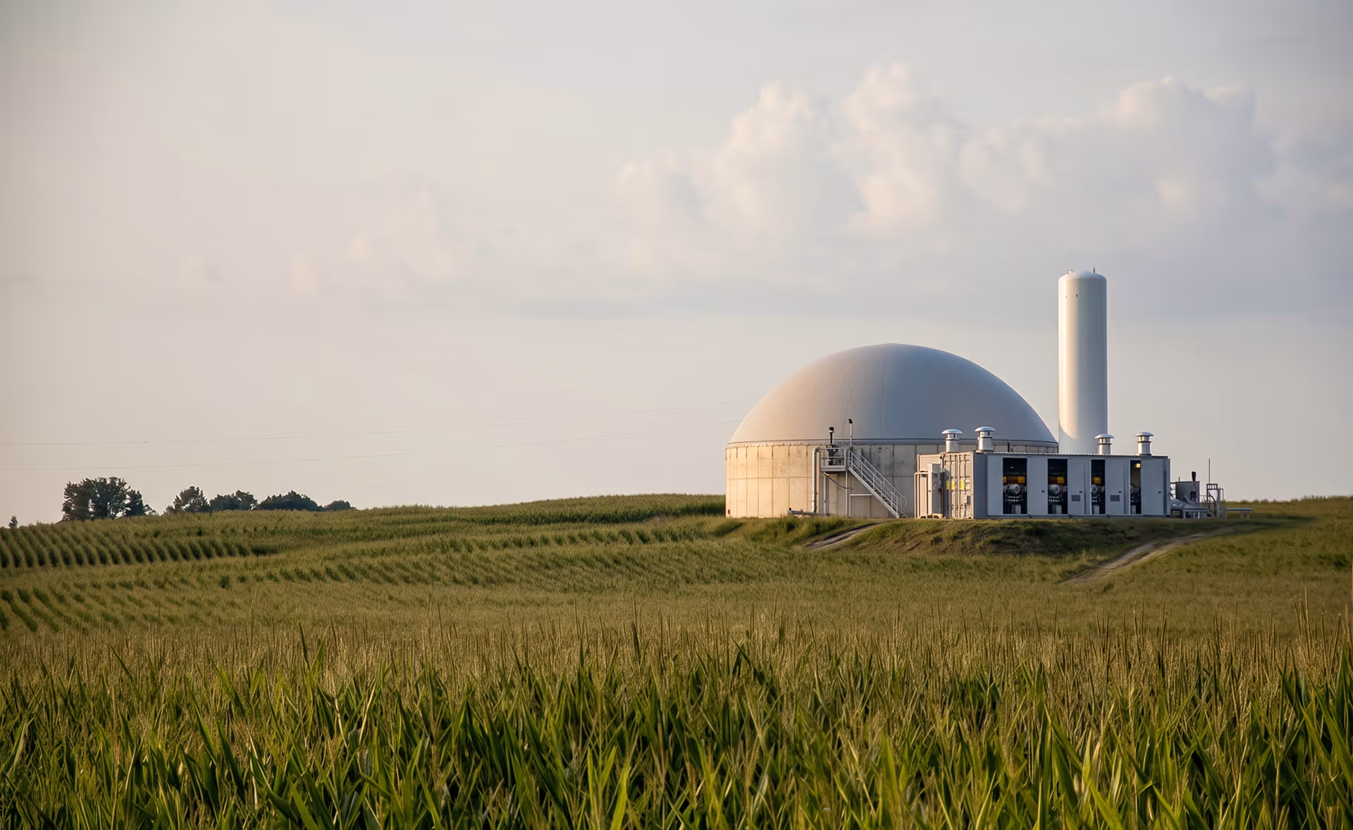 Green field with a biogas plant featuring a large dome and a tall cylindrical tank under cloudy sky.